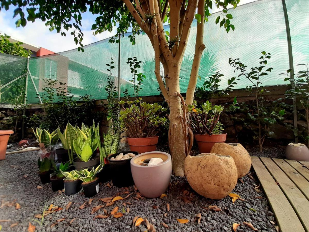 Casa Das Yucas - Patio Apartment Capelas Bagian luar foto