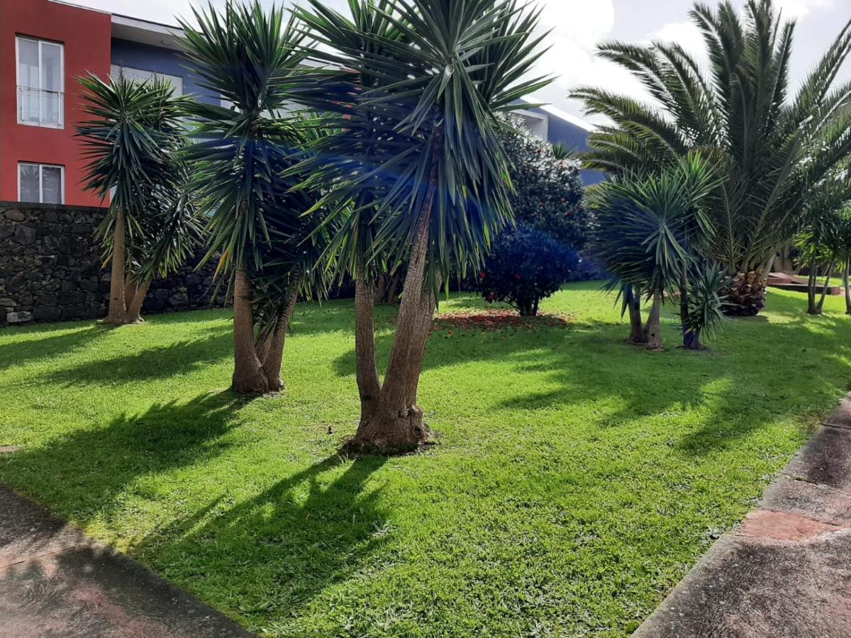 Casa Das Yucas - Patio Apartment Capelas Bagian luar foto